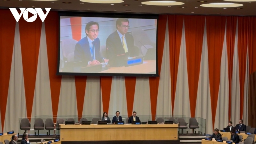 Vietnam chairs UN consultation on Nuclear Non-Proliferation Treaty